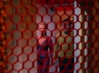 ariane179254_StarTrek_3x16_TheMarkOfGideon_1740.jpg
