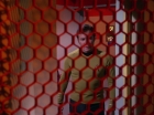 ariane179254_StarTrek_3x16_TheMarkOfGideon_1741.jpg