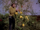 Filename=ariane179254_StarTrek_3x20_TheWayToEden_2925.jpg
Filesize=217KiB
Dimensions=1440x1080
Date added=Jun 04, 2015 ariane179254_StarTrek_3x20_TheWayToEden_2925.jpg