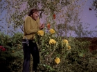 Filename=ariane179254_StarTrek_3x20_TheWayToEden_2929.jpg
Filesize=223KiB
Dimensions=1440x1080
Date added=Jun 04, 2015 ariane179254_StarTrek_3x20_TheWayToEden_2929.jpg
