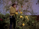 Filename=ariane179254_StarTrek_3x20_TheWayToEden_2930.jpg
Filesize=219KiB
Dimensions=1440x1080
Date added=Jun 04, 2015 ariane179254_StarTrek_3x20_TheWayToEden_2930.jpg