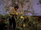 Filename=ariane179254_StarTrek_3x20_TheWayToEden_2931.jpg
Filesize=215KiB
Dimensions=1440x1080
Date added=Jun 04, 2015 ariane179254_StarTrek_3x20_TheWayToEden_2931.jpg