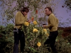 Filename=ariane179254_StarTrek_3x20_TheWayToEden_2932.jpg
Filesize=210KiB
Dimensions=1440x1080
Date added=Jun 04, 2015 ariane179254_StarTrek_3x20_TheWayToEden_2932.jpg