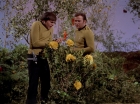 Filename=ariane179254_StarTrek_3x20_TheWayToEden_2933.jpg
Filesize=207KiB
Dimensions=1440x1080
Date added=Jun 04, 2015 ariane179254_StarTrek_3x20_TheWayToEden_2933.jpg