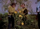 Filename=ariane179254_StarTrek_3x20_TheWayToEden_2934.jpg
Filesize=208KiB
Dimensions=1440x1080
Date added=Jun 04, 2015 ariane179254_StarTrek_3x20_TheWayToEden_2934.jpg