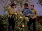 Filename=ariane179254_StarTrek_3x20_TheWayToEden_2936.jpg
Filesize=199KiB
Dimensions=1440x1080
Date added=Jun 04, 2015 ariane179254_StarTrek_3x20_TheWayToEden_2936.jpg