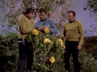 Filename=ariane179254_StarTrek_3x20_TheWayToEden_2937.jpg
Filesize=204KiB
Dimensions=1440x1080
Date added=Jun 04, 2015 ariane179254_StarTrek_3x20_TheWayToEden_2937.jpg