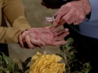 Filename=ariane179254_StarTrek_3x20_TheWayToEden_2938.jpg
Filesize=100KiB
Dimensions=1440x1080
Date added=Jun 04, 2015 ariane179254_StarTrek_3x20_TheWayToEden_2938.jpg