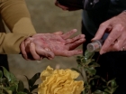 Filename=ariane179254_StarTrek_3x20_TheWayToEden_2939.jpg
Filesize=104KiB
Dimensions=1440x1080
Date added=Jun 04, 2015 ariane179254_StarTrek_3x20_TheWayToEden_2939.jpg