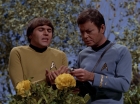 Filename=ariane179254_StarTrek_3x20_TheWayToEden_2944.jpg
Filesize=146KiB
Dimensions=1440x1080
Date added=Jun 04, 2015 ariane179254_StarTrek_3x20_TheWayToEden_2944.jpg