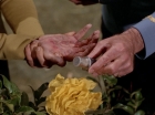 Filename=ariane179254_StarTrek_3x20_TheWayToEden_2946.jpg
Filesize=106KiB
Dimensions=1440x1080
Date added=Jun 04, 2015 ariane179254_StarTrek_3x20_TheWayToEden_2946.jpg