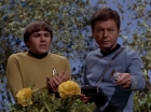 Filename=ariane179254_StarTrek_3x20_TheWayToEden_2950.jpg
Filesize=153KiB
Dimensions=1440x1080
Date added=Jun 04, 2015 ariane179254_StarTrek_3x20_TheWayToEden_2950.jpg
