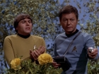 Filename=ariane179254_StarTrek_3x20_TheWayToEden_2951.jpg
Filesize=150KiB
Dimensions=1440x1080
Date added=Jun 04, 2015 ariane179254_StarTrek_3x20_TheWayToEden_2951.jpg