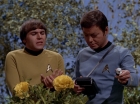 Filename=ariane179254_StarTrek_3x20_TheWayToEden_2952.jpg
Filesize=150KiB
Dimensions=1440x1080
Date added=Jun 04, 2015 ariane179254_StarTrek_3x20_TheWayToEden_2952.jpg