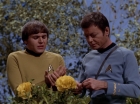 Filename=ariane179254_StarTrek_3x20_TheWayToEden_2960.jpg
Filesize=141KiB
Dimensions=1440x1080
Date added=Jun 04, 2015 ariane179254_StarTrek_3x20_TheWayToEden_2960.jpg