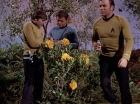 Filename=ariane179254_StarTrek_3x20_TheWayToEden_2964.jpg
Filesize=214KiB
Dimensions=1440x1080
Date added=Jun 04, 2015 ariane179254_StarTrek_3x20_TheWayToEden_2964.jpg