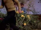 Filename=ariane179254_StarTrek_3x20_TheWayToEden_2965.jpg
Filesize=184KiB
Dimensions=1440x1080
Date added=Jun 04, 2015 ariane179254_StarTrek_3x20_TheWayToEden_2965.jpg