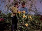 Filename=ariane179254_StarTrek_3x20_TheWayToEden_2966.jpg
Filesize=217KiB
Dimensions=1440x1080
Date added=Jun 04, 2015 ariane179254_StarTrek_3x20_TheWayToEden_2966.jpg