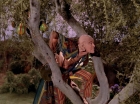 Filename=ariane179254_StarTrek_3x20_TheWayToEden_3078.jpg
Filesize=224KiB
Dimensions=1440x1080
Date added=Jun 04, 2015 ariane179254_StarTrek_3x20_TheWayToEden_3078.jpg
