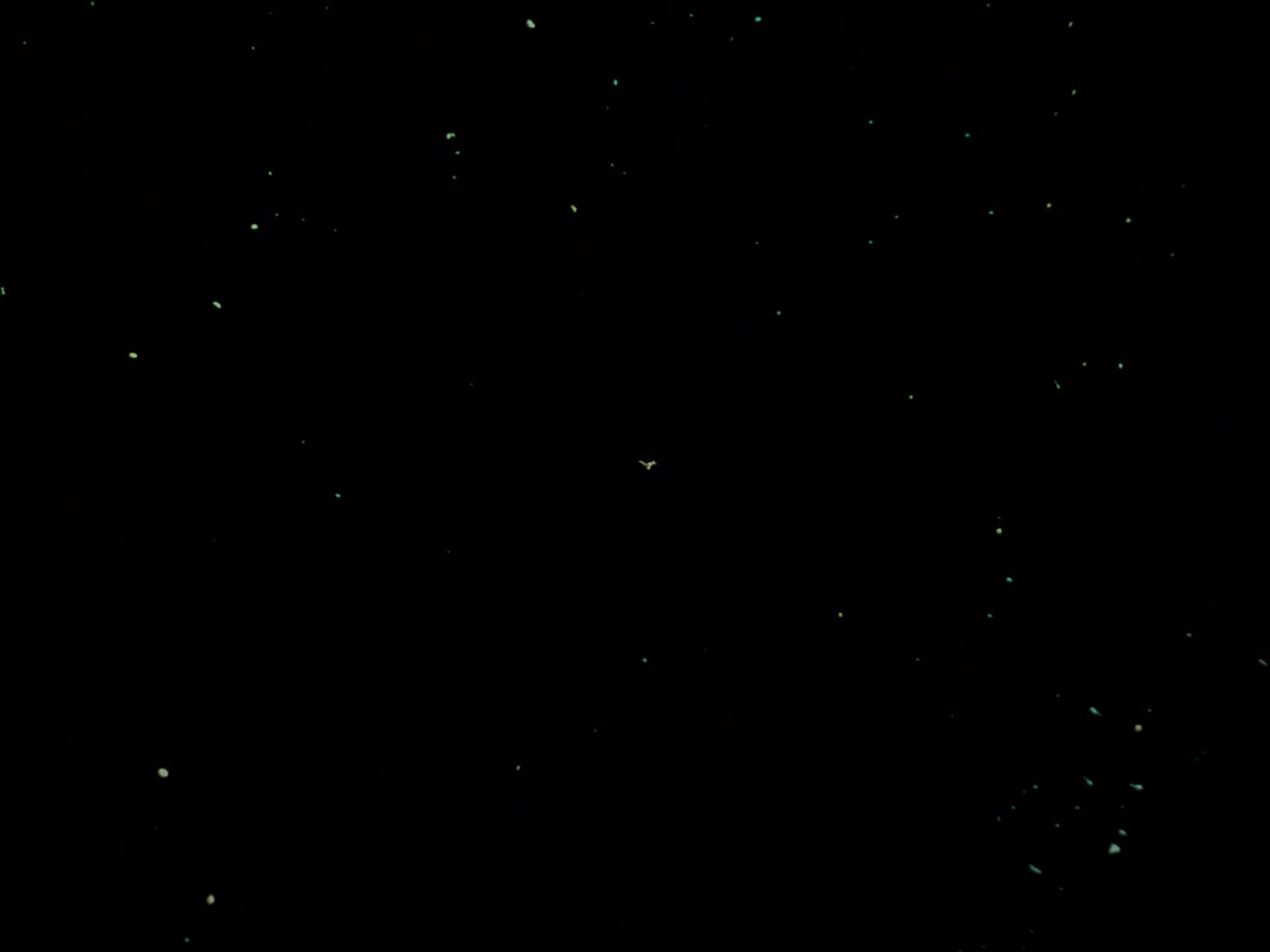ariane179254_StarTrek_3x21_TheCloudMinders_3417.jpg