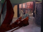 Filename=ariane179254_StarTrek_3x21_TheCloudMinders_0553.jpg
Filesize=109KiB
Dimensions=1440x1080
Date added=May 13, 2015 ariane179254_StarTrek_3x21_TheCloudMinders_0553.jpg