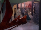 Filename=ariane179254_StarTrek_3x21_TheCloudMinders_0559.jpg
Filesize=109KiB
Dimensions=1440x1080
Date added=May 13, 2015 ariane179254_StarTrek_3x21_TheCloudMinders_0559.jpg