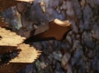 Filename=ariane179254_StarTrek_3x21_TheCloudMinders_0566.jpg
Filesize=124KiB
Dimensions=1440x1080
Date added=May 13, 2015 ariane179254_StarTrek_3x21_TheCloudMinders_0566.jpg
