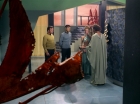 Filename=ariane179254_StarTrek_3x21_TheCloudMinders_0634.jpg
Filesize=136KiB
Dimensions=1440x1080
Date added=May 13, 2015 ariane179254_StarTrek_3x21_TheCloudMinders_0634.jpg