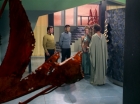 Filename=ariane179254_StarTrek_3x21_TheCloudMinders_0636.jpg
Filesize=135KiB
Dimensions=1440x1080
Date added=May 13, 2015 ariane179254_StarTrek_3x21_TheCloudMinders_0636.jpg