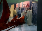 Filename=ariane179254_StarTrek_3x21_TheCloudMinders_0640.jpg
Filesize=136KiB
Dimensions=1440x1080
Date added=May 13, 2015 ariane179254_StarTrek_3x21_TheCloudMinders_0640.jpg