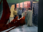 Filename=ariane179254_StarTrek_3x21_TheCloudMinders_0643.jpg
Filesize=130KiB
Dimensions=1440x1080
Date added=May 13, 2015 ariane179254_StarTrek_3x21_TheCloudMinders_0643.jpg