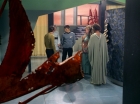 Filename=ariane179254_StarTrek_3x21_TheCloudMinders_0648.jpg
Filesize=140KiB
Dimensions=1440x1080
Date added=May 13, 2015 ariane179254_StarTrek_3x21_TheCloudMinders_0648.jpg