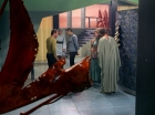 Filename=ariane179254_StarTrek_3x21_TheCloudMinders_0650.jpg
Filesize=144KiB
Dimensions=1440x1080
Date added=May 13, 2015 ariane179254_StarTrek_3x21_TheCloudMinders_0650.jpg