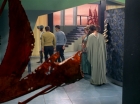 Filename=ariane179254_StarTrek_3x21_TheCloudMinders_0651.jpg
Filesize=134KiB
Dimensions=1440x1080
Date added=May 13, 2015 ariane179254_StarTrek_3x21_TheCloudMinders_0651.jpg