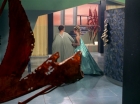 Filename=ariane179254_StarTrek_3x21_TheCloudMinders_0654.jpg
Filesize=139KiB
Dimensions=1440x1080
Date added=May 13, 2015 ariane179254_StarTrek_3x21_TheCloudMinders_0654.jpg