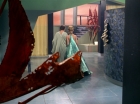 Filename=ariane179254_StarTrek_3x21_TheCloudMinders_0655.jpg
Filesize=142KiB
Dimensions=1440x1080
Date added=May 13, 2015 ariane179254_StarTrek_3x21_TheCloudMinders_0655.jpg