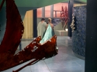 Filename=ariane179254_StarTrek_3x21_TheCloudMinders_0656.jpg
Filesize=143KiB
Dimensions=1440x1080
Date added=May 13, 2015 ariane179254_StarTrek_3x21_TheCloudMinders_0656.jpg