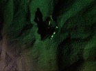 Filename=ariane179254_StarTrek_3x21_TheCloudMinders_3000.jpg
Filesize=231KiB
Dimensions=1440x1080
Date added=May 13, 2015 ariane179254_StarTrek_3x21_TheCloudMinders_3000.jpg