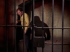 Filename=ariane179254_StarTrek_3x23_AllOurYesterdays_1802.jpg
Filesize=115KiB
Dimensions=1440x1080
Date added=May 15, 2015 ariane179254_StarTrek_3x23_AllOurYesterdays_1802.jpg