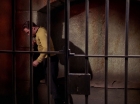 Filename=ariane179254_StarTrek_3x23_AllOurYesterdays_1803.jpg
Filesize=116KiB
Dimensions=1440x1080
Date added=May 15, 2015 ariane179254_StarTrek_3x23_AllOurYesterdays_1803.jpg